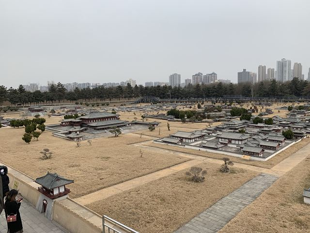 "_大明宫国家遗址公园"的评论图片
