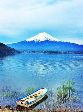 西峡恐龙遗迹园旅游景点攻略图