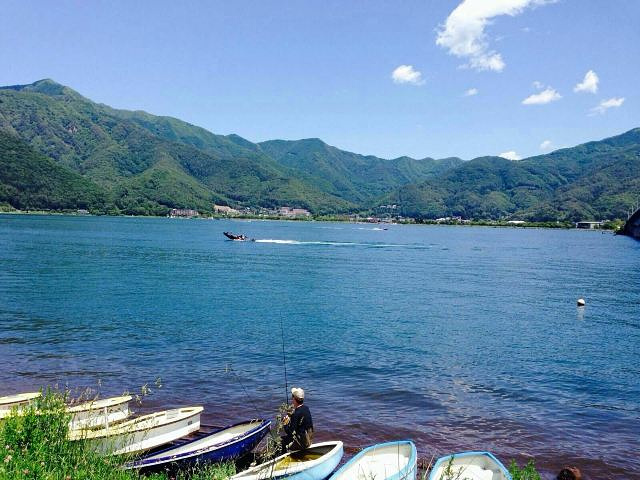 "一般运气好只能上到四合目，导游司机会根据大家投票决定上富士山还是到河口湖远观富士山，我们这一车..._西峡恐龙遗迹园"的评论图片