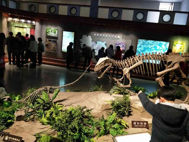 "_自贡恐龙博物馆"的评论图片