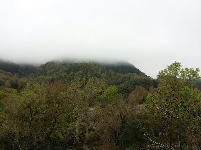 "_五指山水满河热带雨林风景区"的评论图片