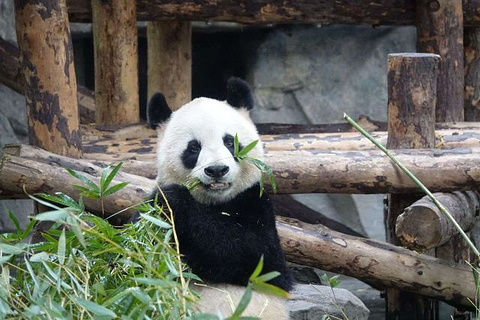 上海野生动物园旅游景点攻略图