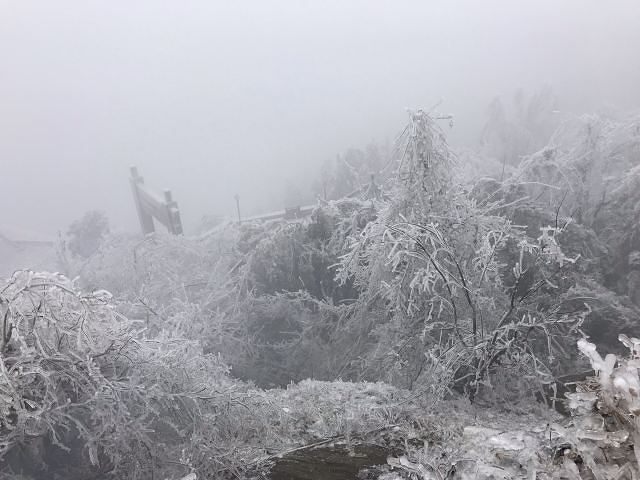 "不像武当山，三清山那么气喘吁吁，这个非常轻松。正月十五元宵节，遇见了雾凇景观，非常美_木兰山"的评论图片