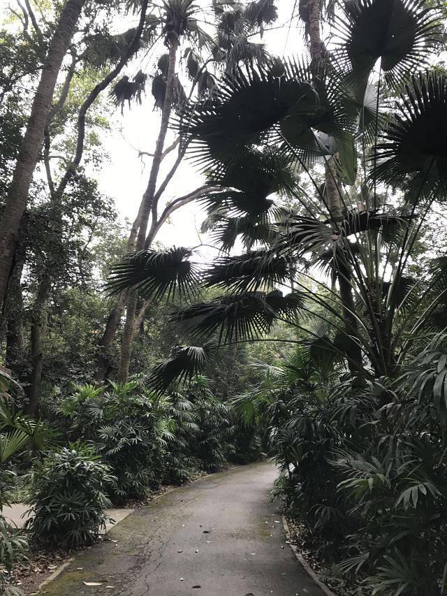 良凤江国家森林公园