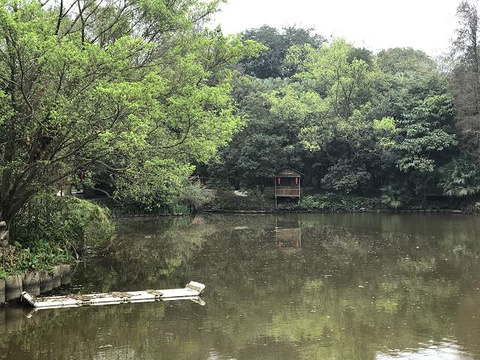 良凤江国家森林公园旅游景点图片