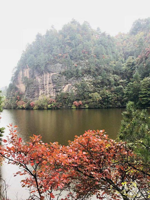 观音湖湿地公园景区