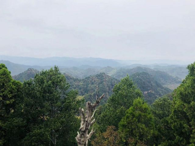 观音湖湿地公园景区