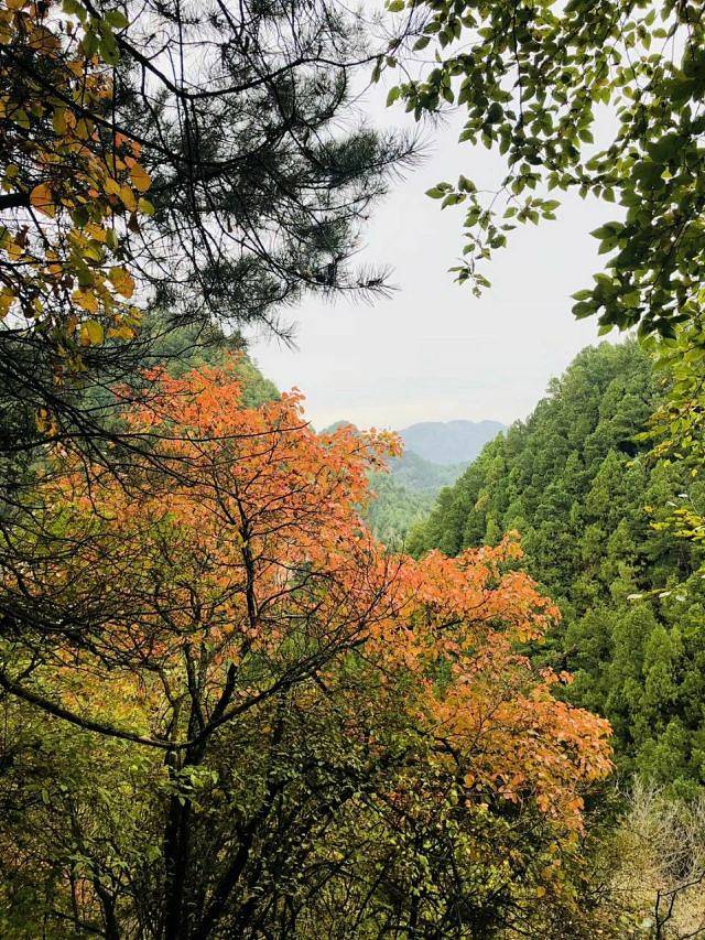 观音湖湿地公园景区