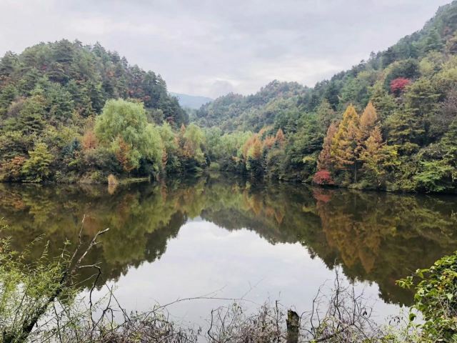 观音湖湿地公园景区