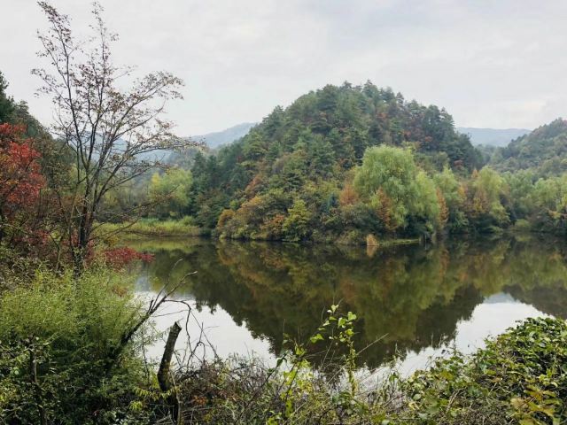 观音湖湿地公园景区