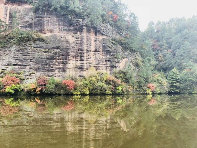 观音湖湿地公园景区