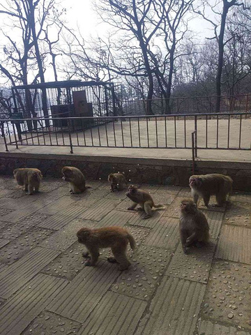 "_南湾湖风景区"的评论图片