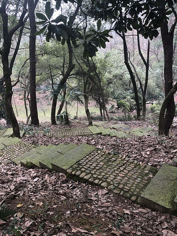 "陵园真正好玩是在后山，山上有4-5个景点，前殿可以说是观历史，左右两面墙上，标注了钱王的生平，..._钱王陵园"的评论图片