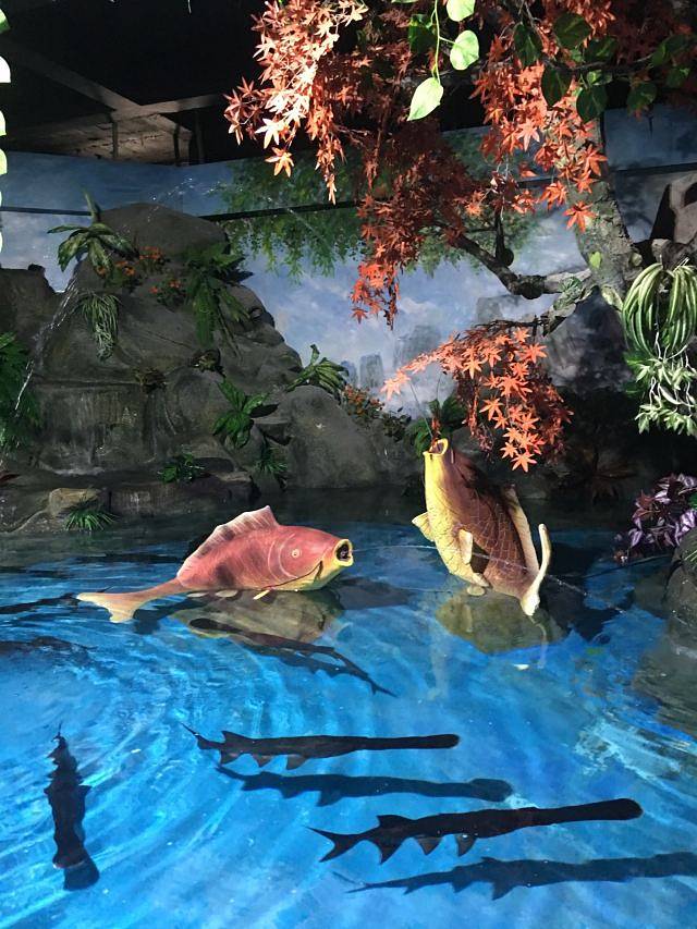 泉州石狮·海洋世界