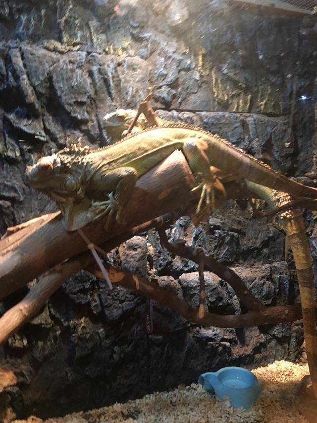 泉州石狮·海洋世界