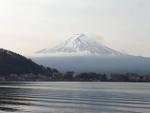 西峡恐龙遗迹园旅游景点攻略图