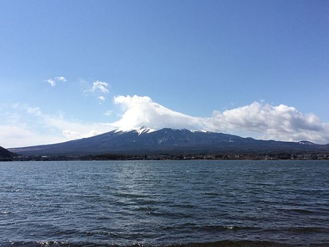 西峡恐龙遗迹园旅游景点攻略图