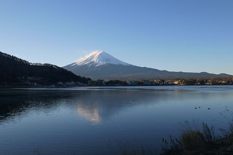 西峡恐龙遗迹园旅游景点攻略图