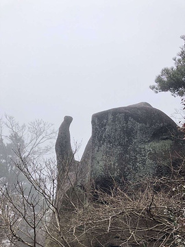 天柱山旅游景点攻略图