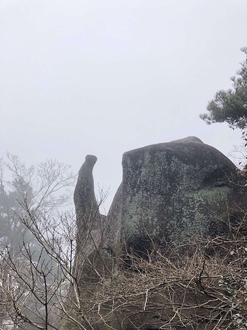 "什么时候门票费用能便宜下来呢？天柱山雾蒙蒙的，爬起来有些累，景色不错，边爬边看…就是门票费用贵呀_天柱山"的评论图片