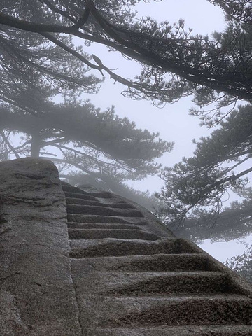 "什么时候门票费用能便宜下来呢？天柱山雾蒙蒙的，爬起来有些累，景色不错，边爬边看…就是门票费用贵呀_天柱山"的评论图片