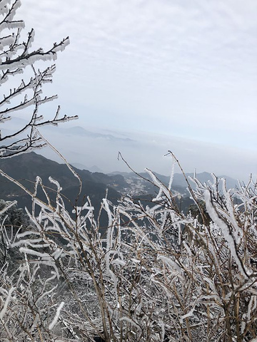 "_九华山"的评论图片