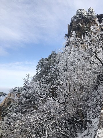 "_九华山"的评论图片