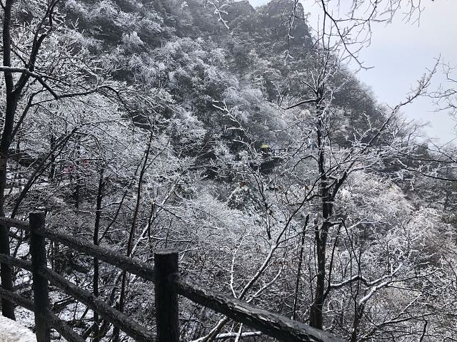 "_九华山"的评论图片