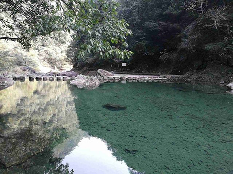 铜铃山森林公园旅游景点图片
