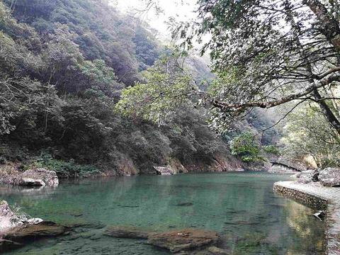 铜铃山森林公园旅游景点图片