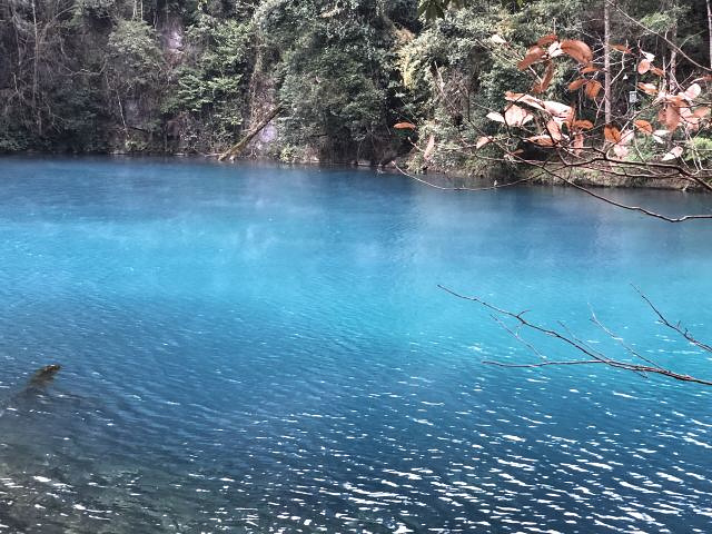 "...候是早上，湖面上升起层层薄雾，并缓慢的在湖面上移动，变幻莫测，当你站在潭边真有如入仙境般的感觉_荔波小七孔景区"的评论图片