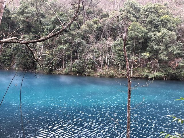 "...候是早上，湖面上升起层层薄雾，并缓慢的在湖面上移动，变幻莫测，当你站在潭边真有如入仙境般的感觉_荔波小七孔景区"的评论图片