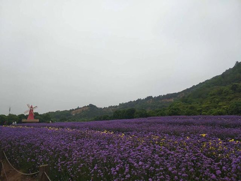 紫海梦幻谷乐园旅游景点图片