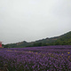 紫海梦幻谷乐园