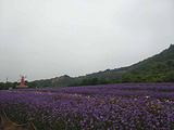 紫海梦幻谷乐园