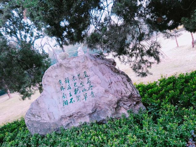 "_南阳卧龙岗武侯祠"的评论图片