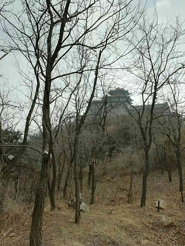 "_沂蒙山旅游区沂山景区"的评论图片