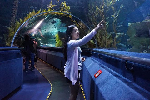 吉隆坡城中城水族馆旅游景点攻略图