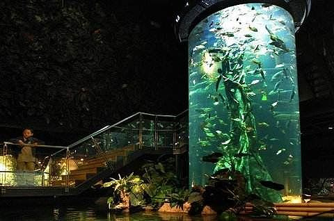 吉隆坡城中城水族馆旅游景点攻略图