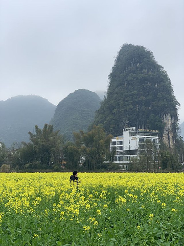 "...秀美的山峰下，油菜花如油画般绚烂无比，热烈盛开，骑行在河边，阳光正好，清风徐来，一切是如此美好_遇龙河景区"的评论图片