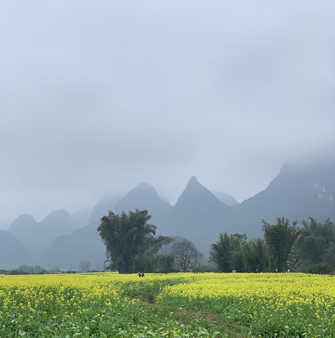 "...秀美的山峰下，油菜花如油画般绚烂无比，热烈盛开，骑行在河边，阳光正好，清风徐来，一切是如此美好_遇龙河景区"的评论图片