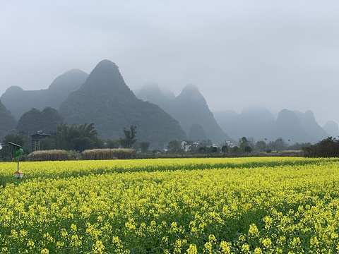 遇龙河景区旅游景点攻略图