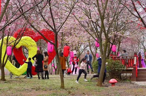 雾漫小东江旅游景点攻略图