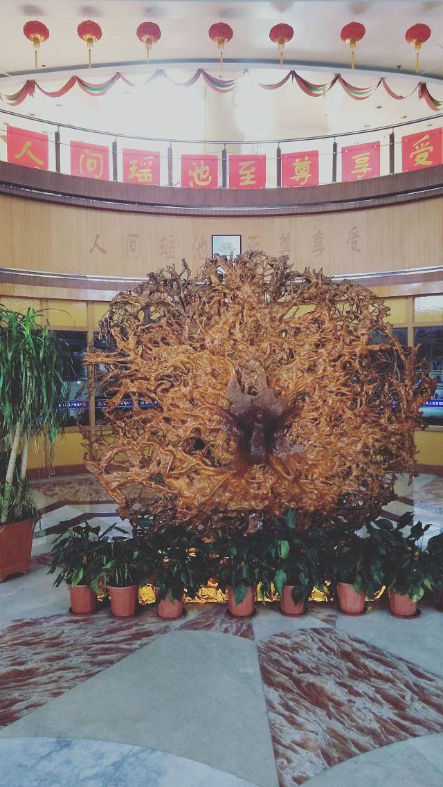 金孔雀温泉旅游度假村