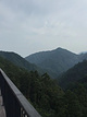庆元县巾子峰国家森林公园