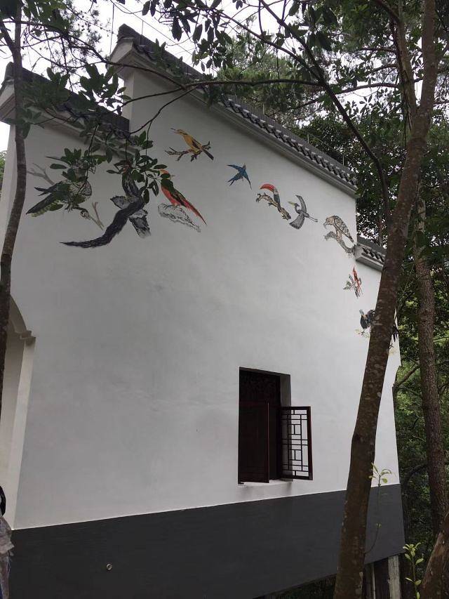 庆元县巾子峰国家森林公园