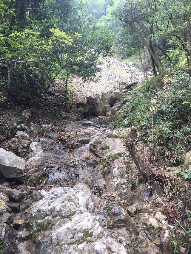 庆元县巾子峰国家森林公园