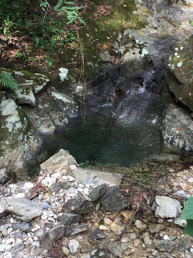 庆元县巾子峰国家森林公园