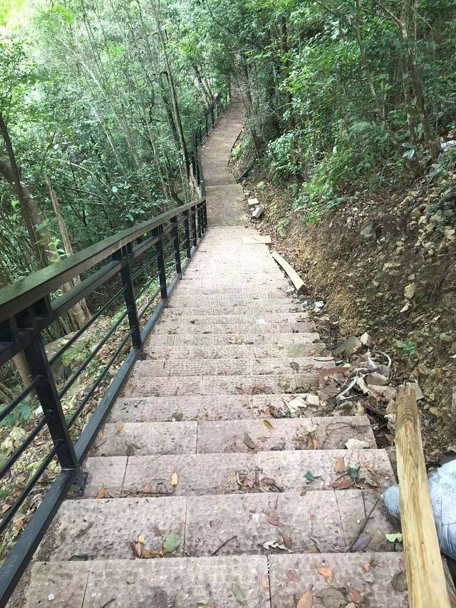 庆元县巾子峰国家森林公园