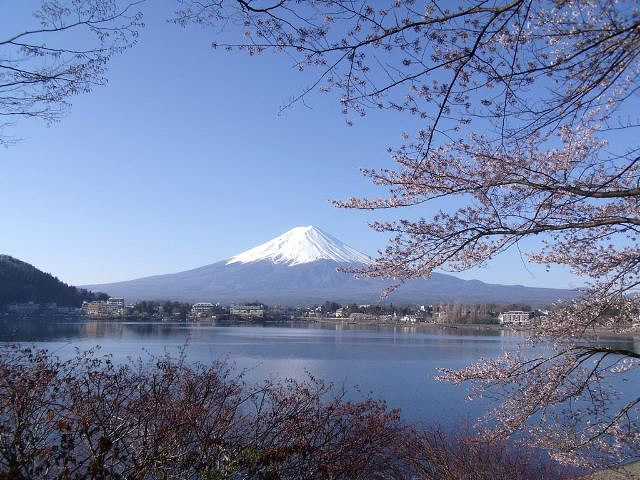 "箱根也不行，奈良也不行……河口湖适合度假，风景漂亮，酒店的料理也很精致，适合静静坐在河边看富士山发呆_西峡恐龙遗迹园"的评论图片